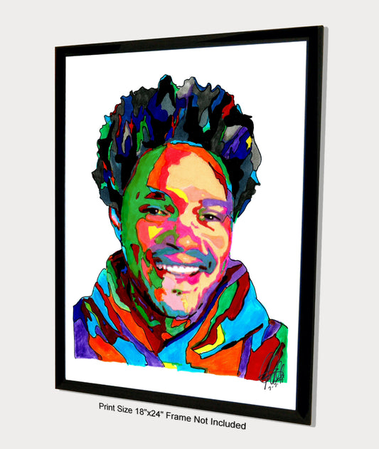 Trevor Noah The Daily Show Comedian Poster Print Wall Art 18x24
