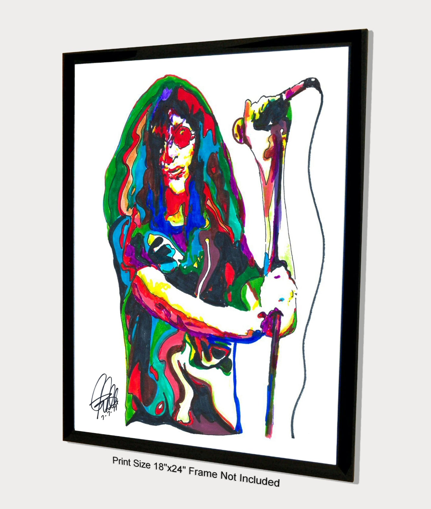 Joey Ramone Ramones Singer Punk Rock Music Poster Print Wall Art 18x24
