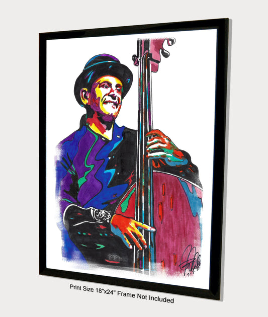 Mark Schatz Bass Bluegrass Country Music Poster Print Wall Art 18x24