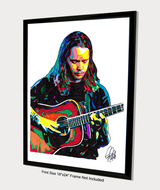 Billy Strings Guitar Bluegrass Outlaw Country Music Poster Print Wall Art 18x24