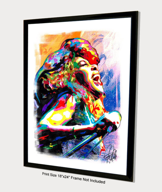 Tina Turner Singer Rock R&B Music Poster Print Wall Art 18x24