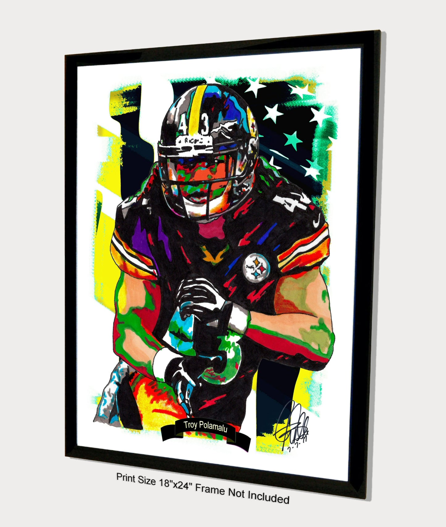 Troy Polamalu Pittsburgh Steelers Football Sports Poster Print Wall Art 18x24