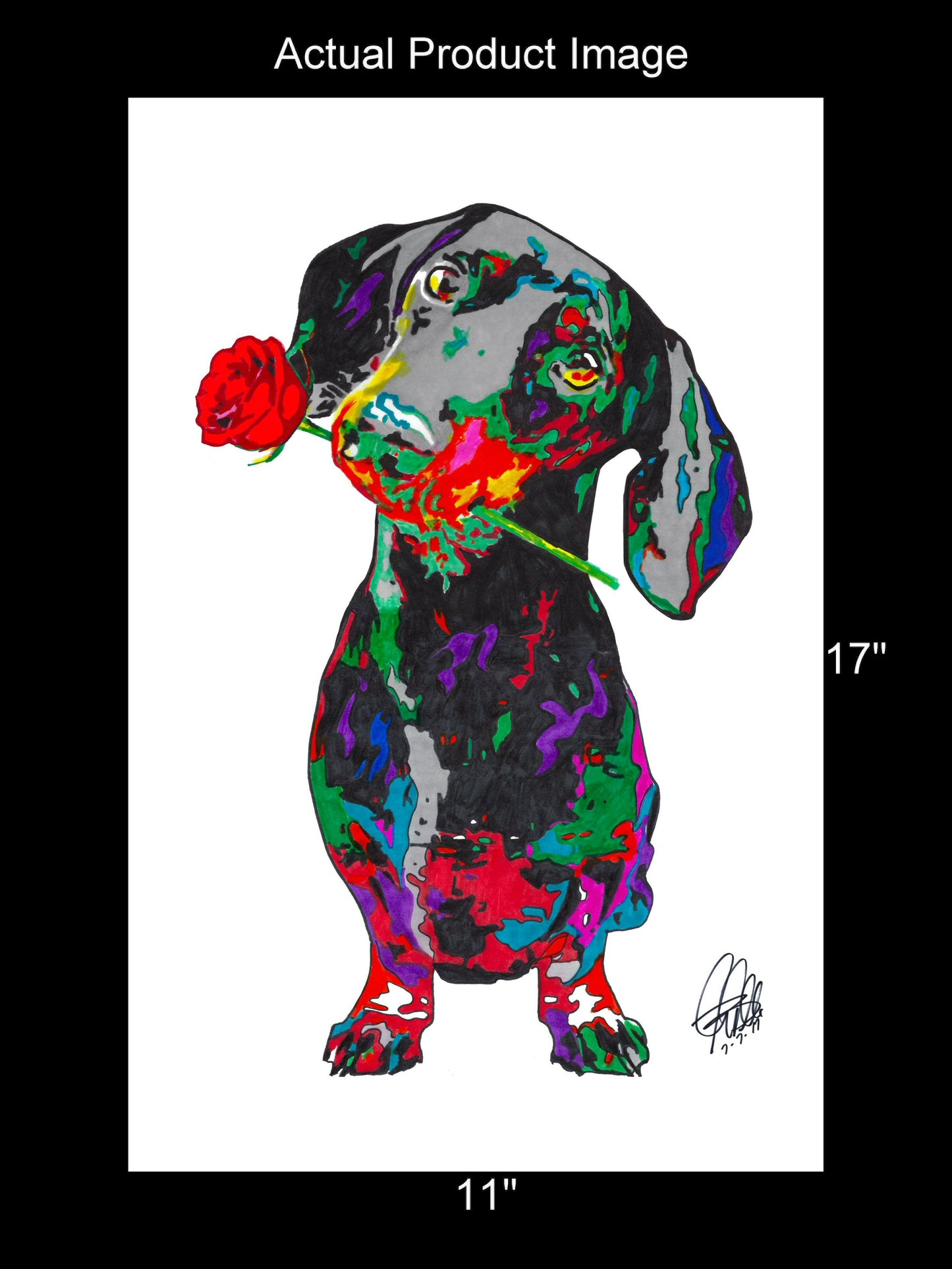 Dachshund Sausage Dog Speed Stick Pet Poster Print Wall Art 11x17