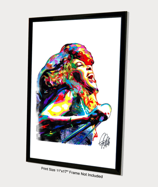 Tina Turner Singer Rock Soul Music Poster Print Wall Art 11x17