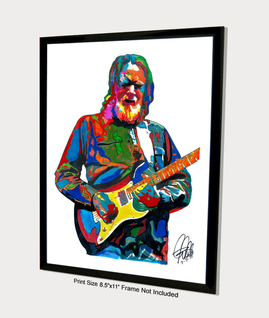 Jimmy Herring Guitar Rock Music Poster Print Wall Art 8.5x11