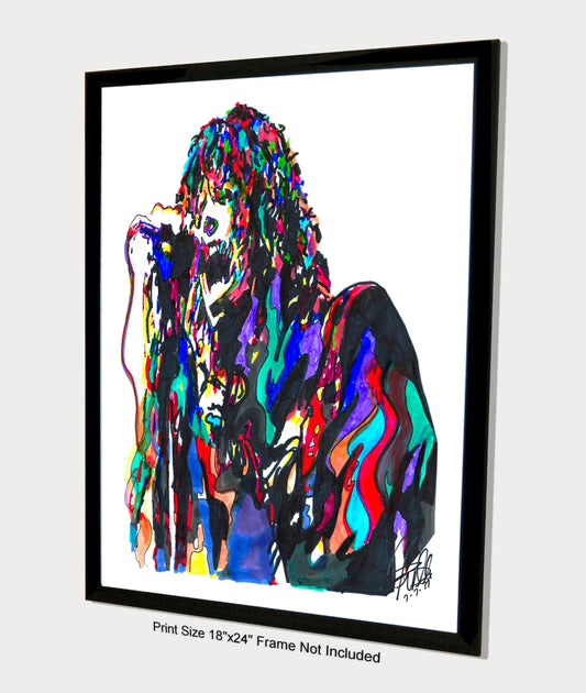 Steven Tyler Aerosmith Singer Hard Rock Music Print Poster Wall Art 18x24