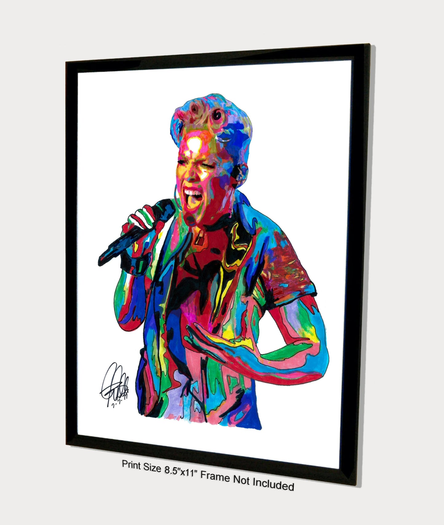 Pink Singer Rock Pop R&B Music Poster Print Wall Art 8.5x11