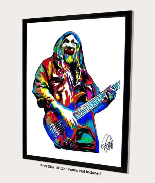 Dave Schools Bass Guitar Rock Music Poster Print Wall Art 18x24