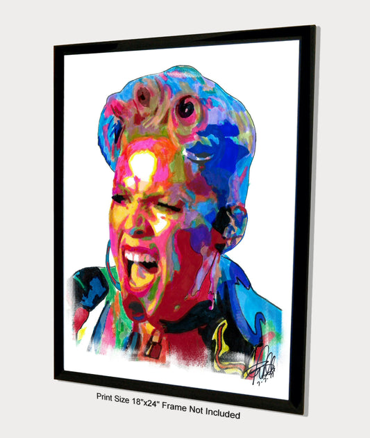 Pink Singer Rock Pop Music Poster Print Wall Art 18x24