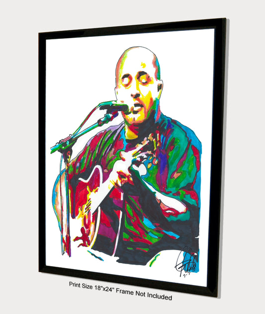 Aaron Lewis Staind Singer Guitar Rock Music Poster Print Wall Art 18x24