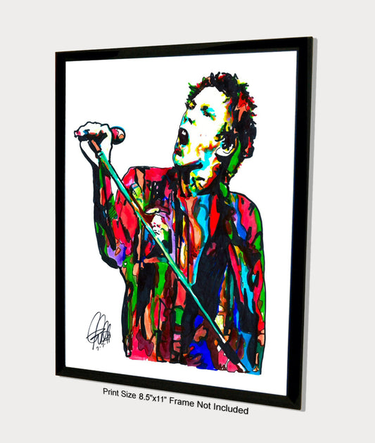 Johnny Rotten Sex Pistols Punk Rock Music Poster Print Wall Art 8.5x11