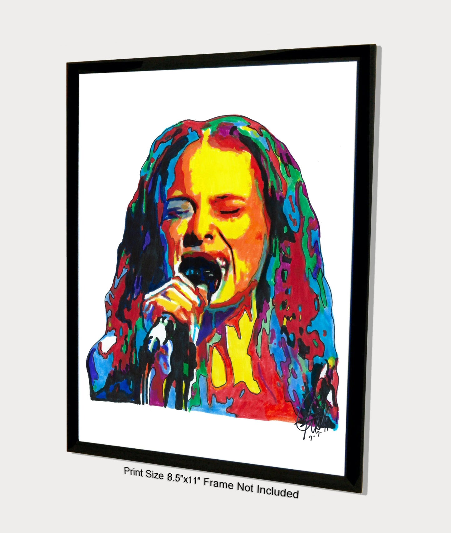 Fiona Apple Singer Piano Pop Art Music Poster Print Wall Art 8.5x11