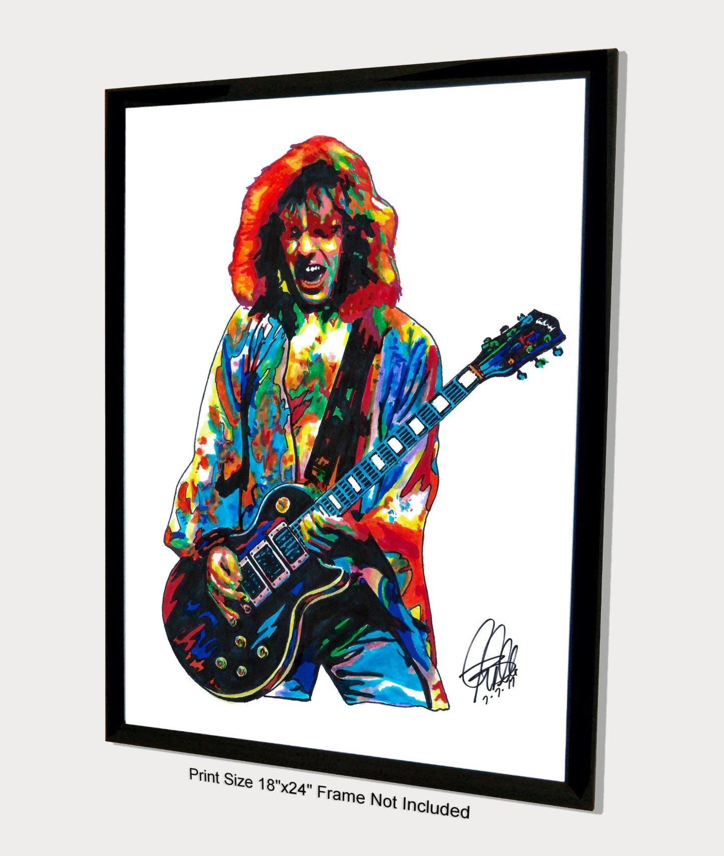 Peter Frampton Guitar Rock Music Poster Print Wall Art 18x24