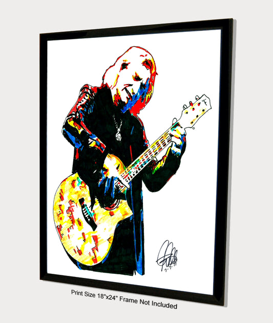 Joe Walsh James Gang Eagles Guitar Rock Music Poster Print Wall Art 18x24