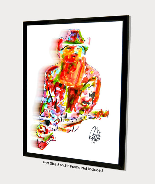 Billy Gibbons ZZ Top Singer Guitar Rock Music Poster Print Wall Art 8.5x11