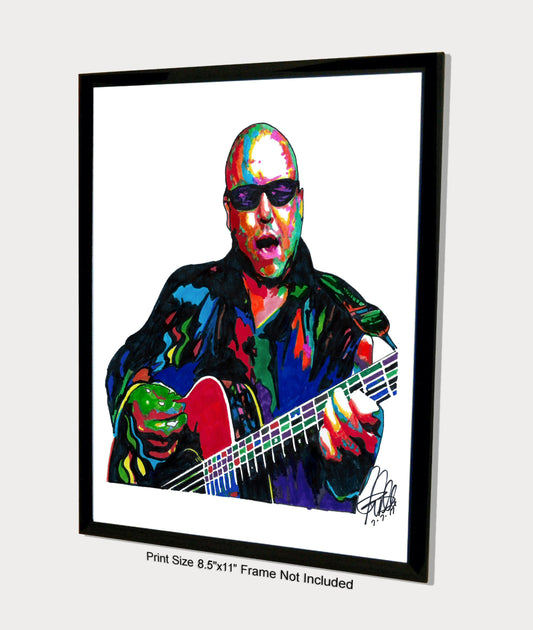 Black Francis Pixies Rock Music Poster Print Wall Art 8.5x11