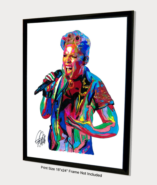 Pink Singer Rock Pop R&B Music Poster Print Wall Art 18x24