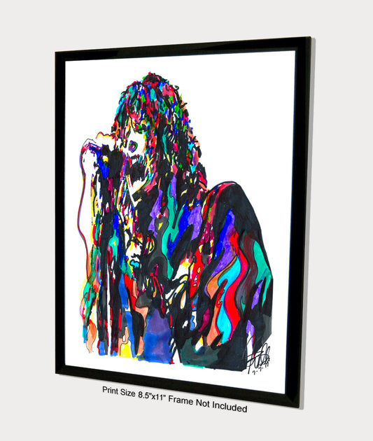 Steven Tyler Aerosmith Singer Hard Rock Music Print Poster Wall Art 8.5x11