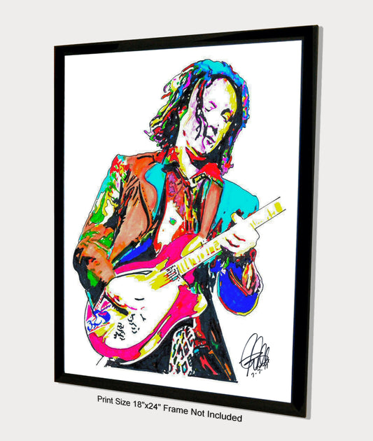 Mike Campbell Tom Petty and the Heartbreakers Music Print Poster Wall Art 18x24