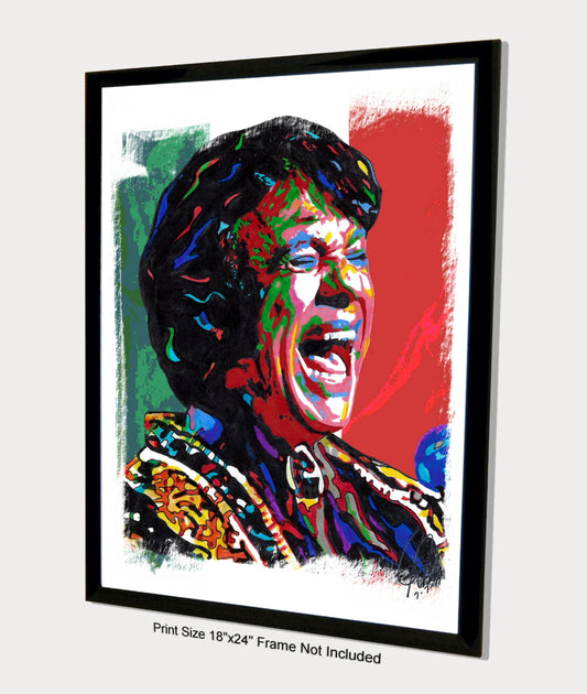 Juan Gabriel Singer Latin Music Poster Print Wall Art 18x24