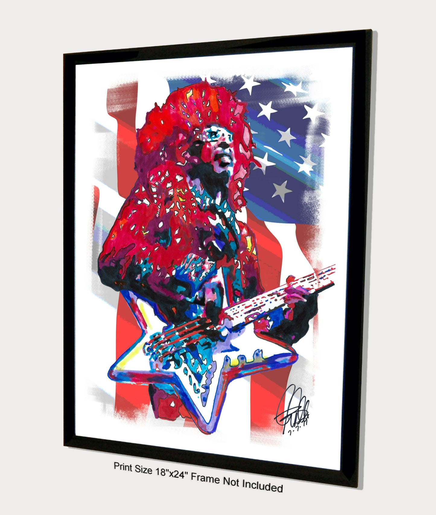 Bootsy Collins Parliament Funkadelic Bass Music Print Poster Wall Art 18x24