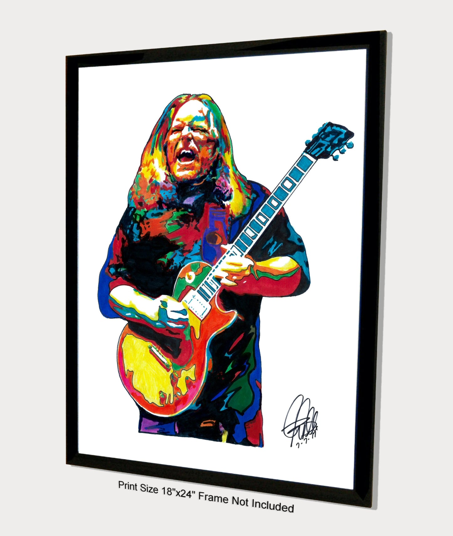 Warren Haynes Allman Brothers Rock Music Poster Print Wall Art 18x24