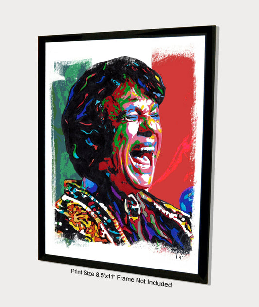 Juan Gabriel Singer Latin Music Poster Print Wall Art 8.5x11