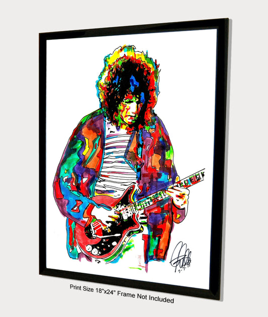 Brian May Queen Guitar Rock Music Poster Print Wall Art 18x24