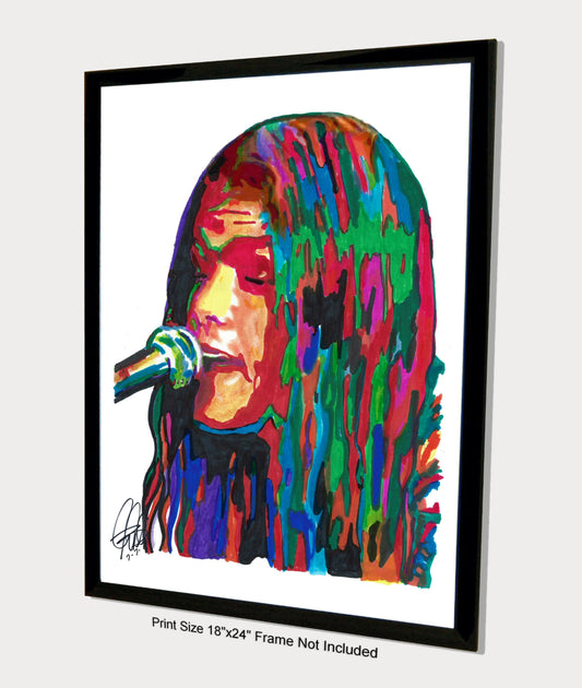 Shannon Hoon Blind Melon Singer Rock Music Poster Print Wall Art 18x24