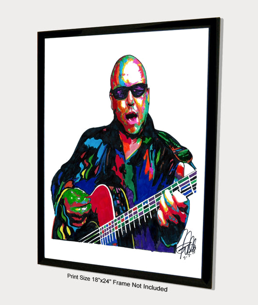 Black Francis Pixies Rock Music Poster Print Wall Art 18x24