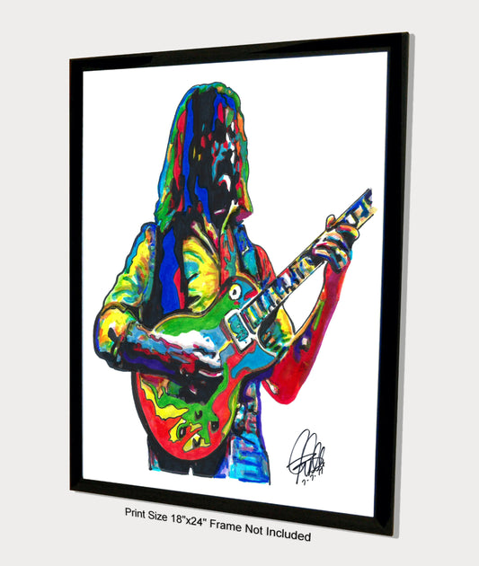 Dickey Betts The Allman Brothers Band Guitar Music Poster Print Wall Art 18x24