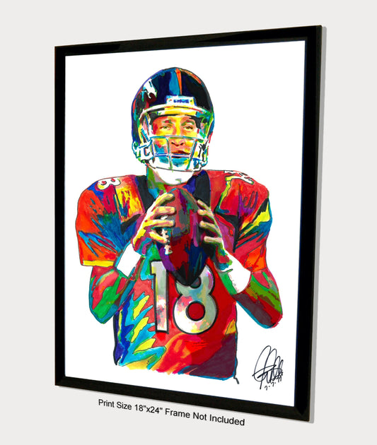 Peyton Manning Denver Broncos Football Sports Poster Print Wall Art 18x24