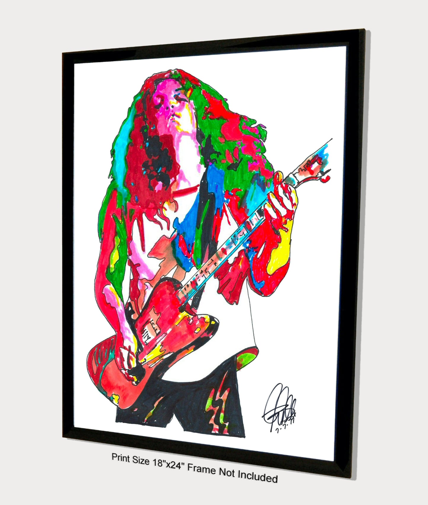 Allen Collins Lynyrd Skynyrd Guitar Music Poster Print Wall Art 18x24