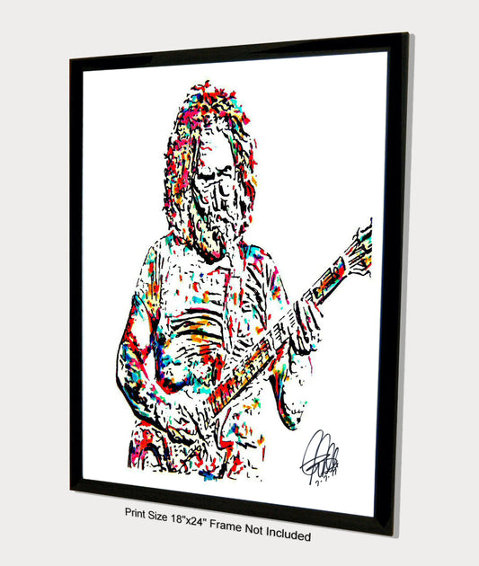 Jerry Garcia Grateful Dead Guitar Rock Music Poster Print Wall Art 18x24