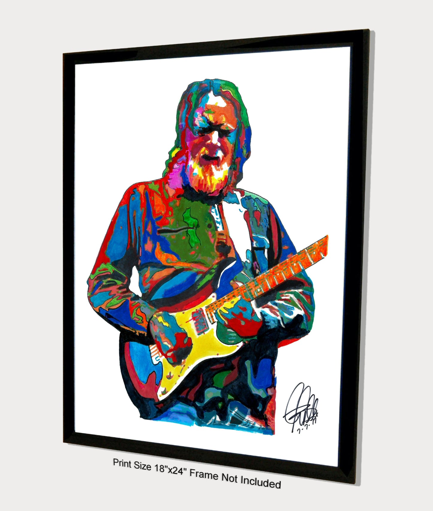 Jimmy Herring Guitar Rock Music Poster Print Wall Art 18x24