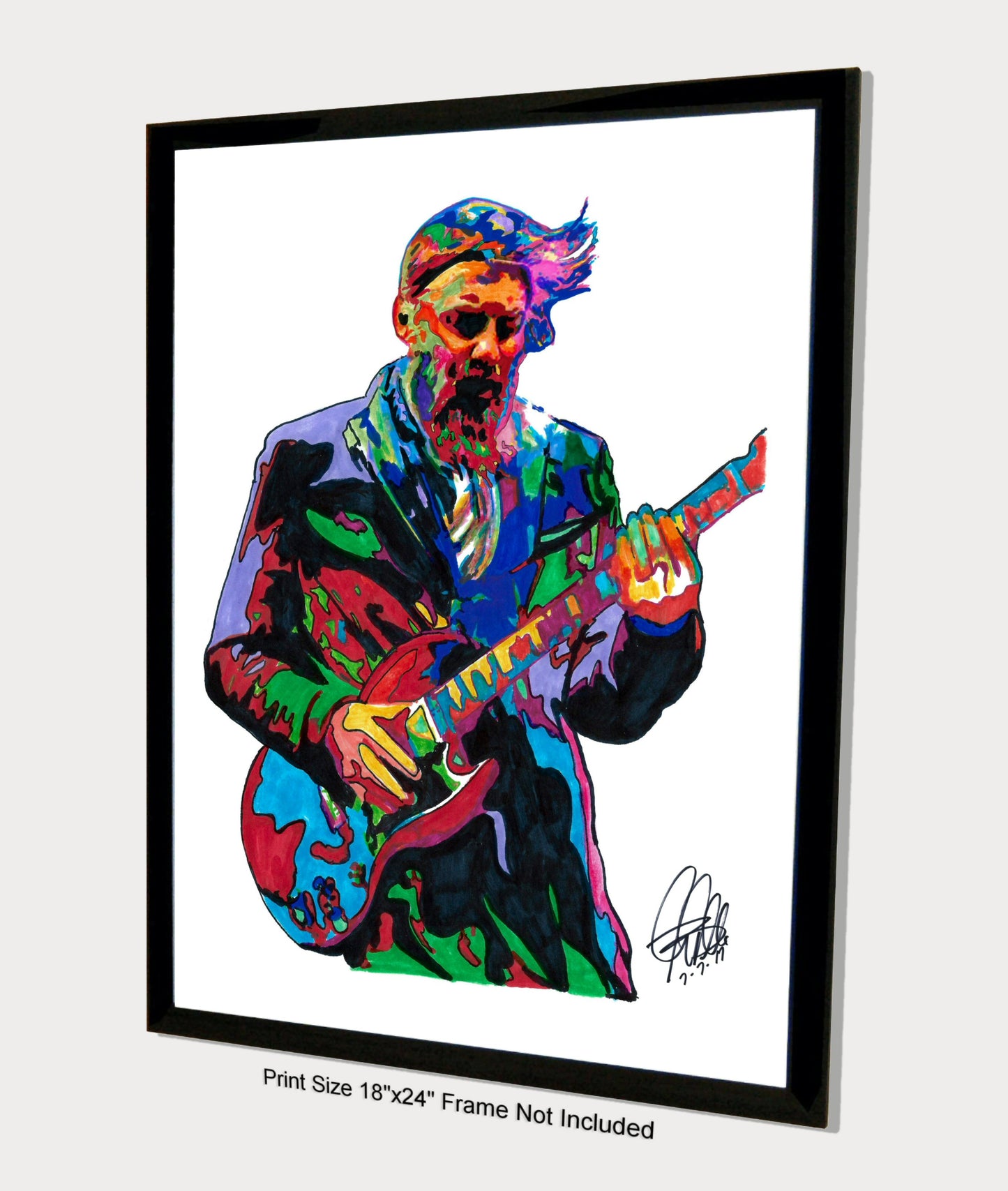 Derek Trucks Allman Brothers Guitar Rock Music Poster Print Wall Art 18x24