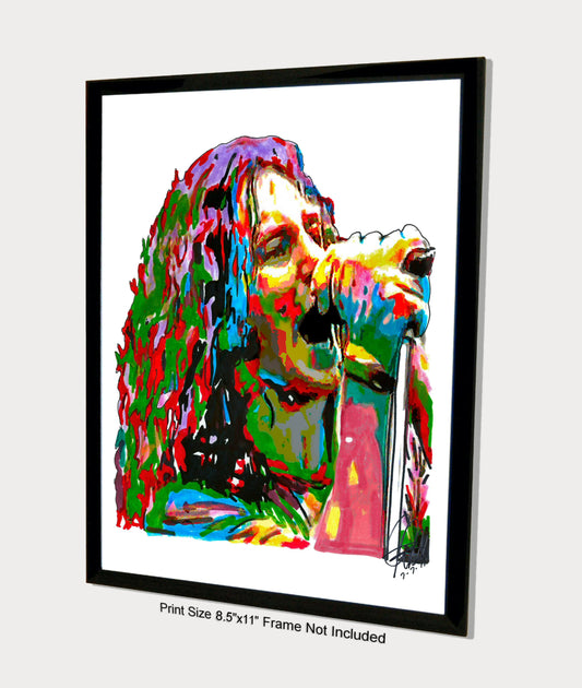 Eddie Vedder Pearl Jam Singer Rock Music Poster Print Wall Art 8.5x11