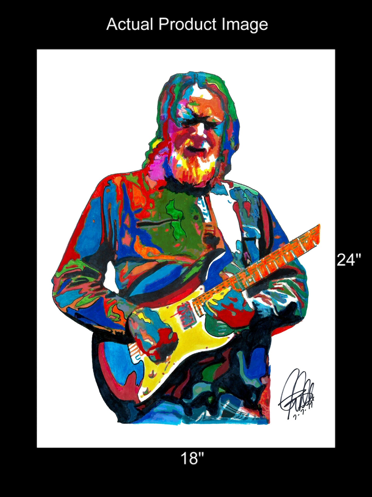 Jimmy Herring Guitar Rock Music Poster Print Wall Art 18x24