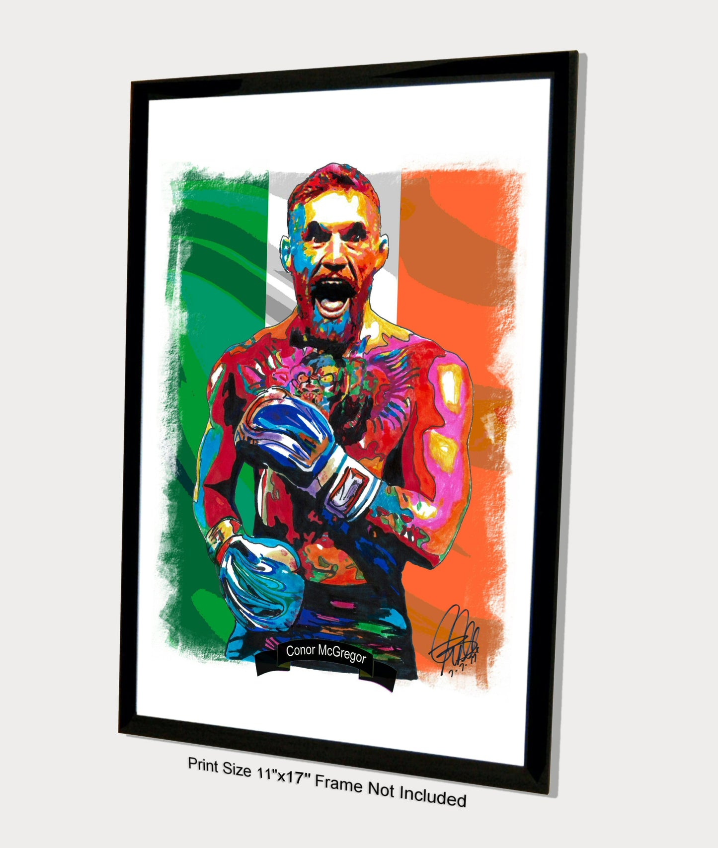 Conor McGregor Martial Arts Boxing Poster Print Wall Art 11x17