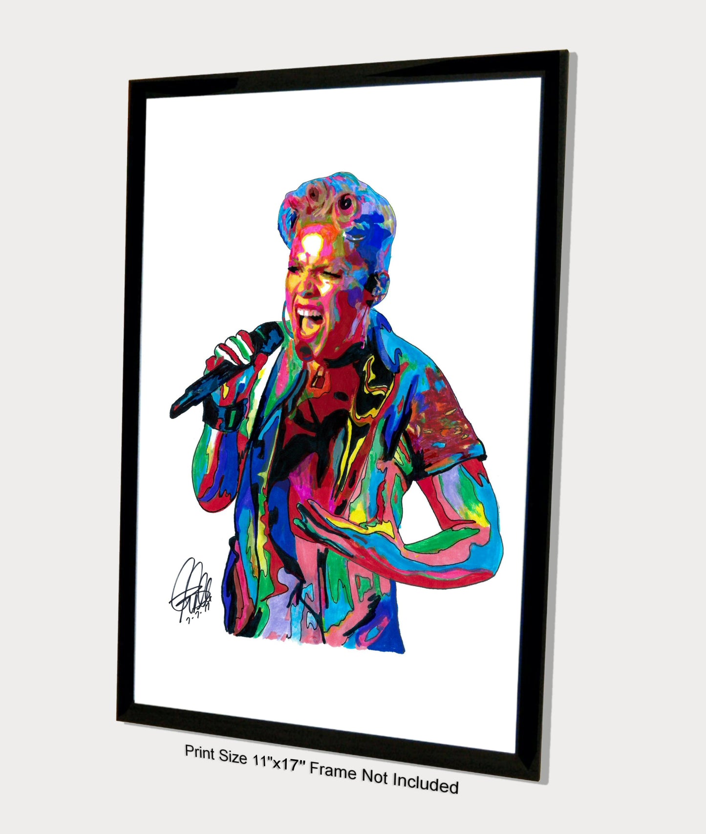 Pink Singer Rock Pop R&B Music Poster Print Wall Art 11x17