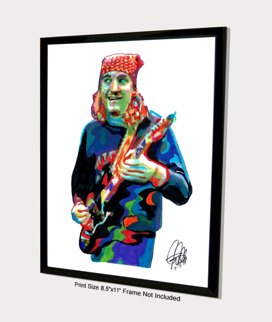 Joe Walsh Eagles Singer Guitar Rock Music Poster Print Wall Art 8.5x11