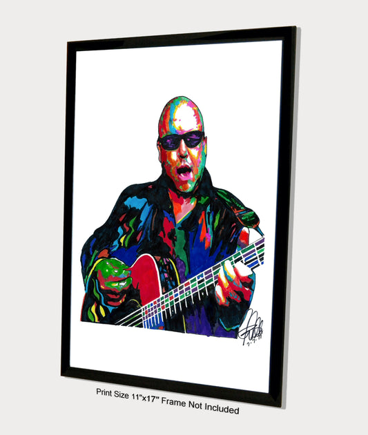 Black Francis Pixies Rock Music Poster Print Wall Art11x17