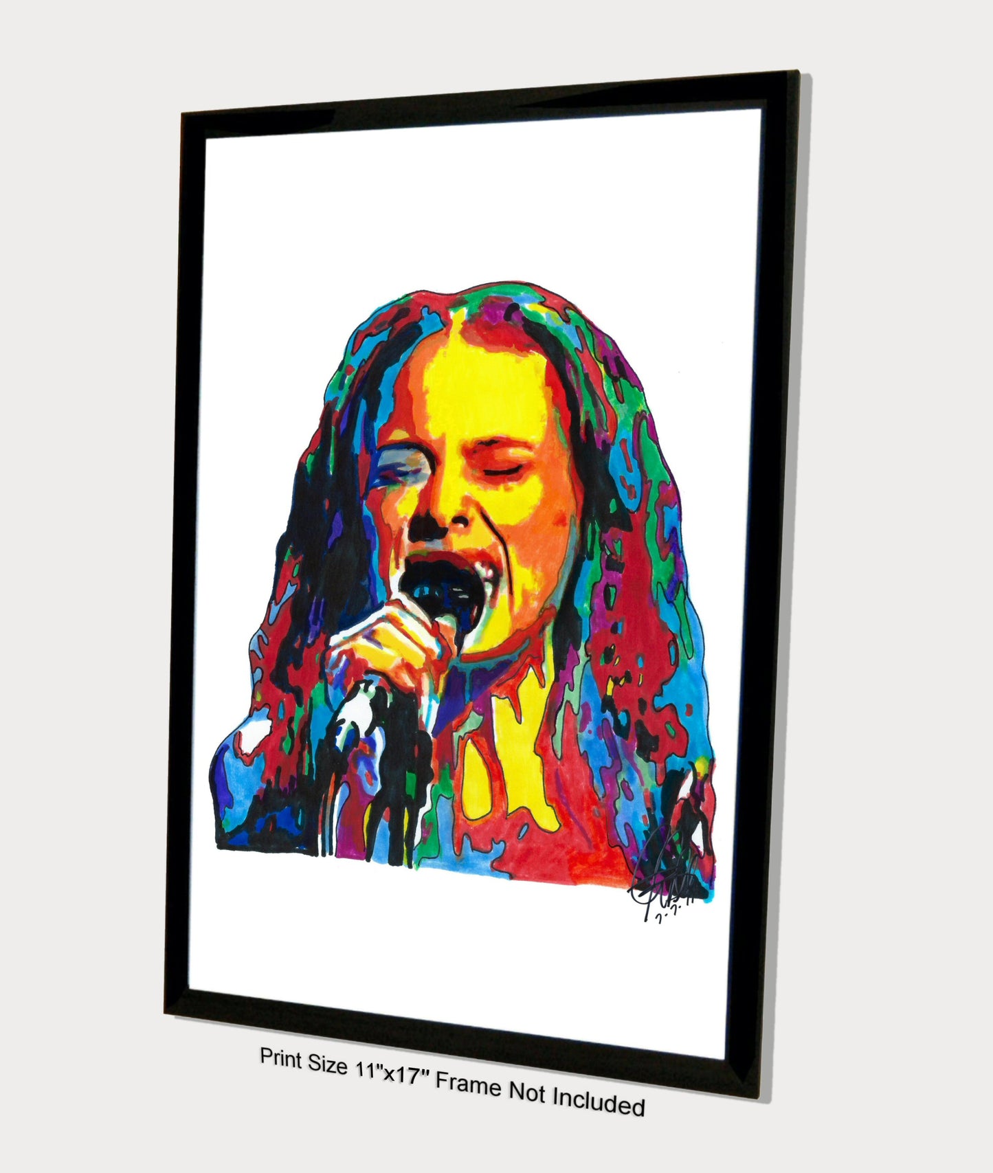 Fiona Apple Singer Piano Pop Art Music Poster Print Wall Art 11x17