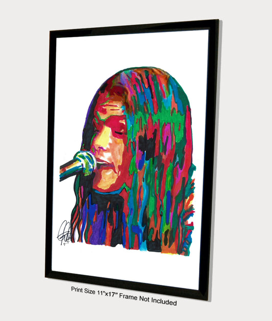 Shannon Hoon Blind Melon Singer Rock Music Poster Print Wall Art 11x17