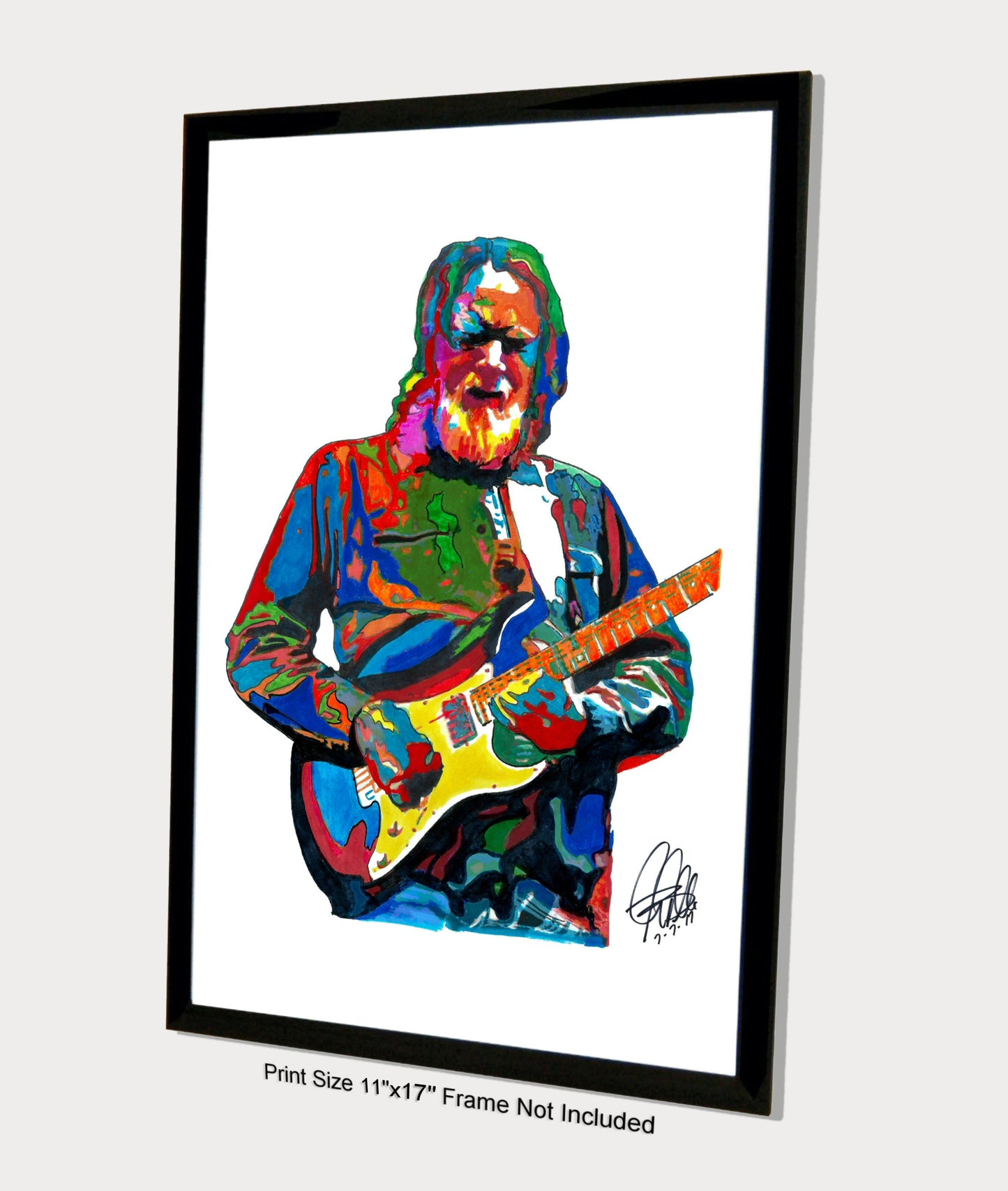 Jimmy Herring Guitar Rock Music Poster Print Wall Art 11x17