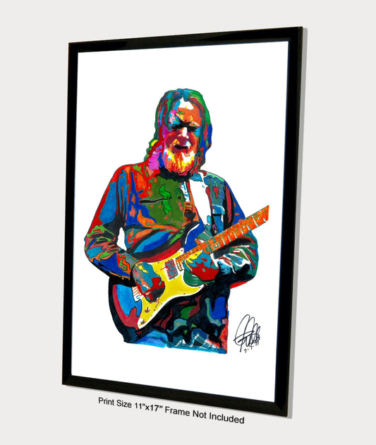 Jimmy Herring Guitar Rock Music Poster Print Wall Art 11x17