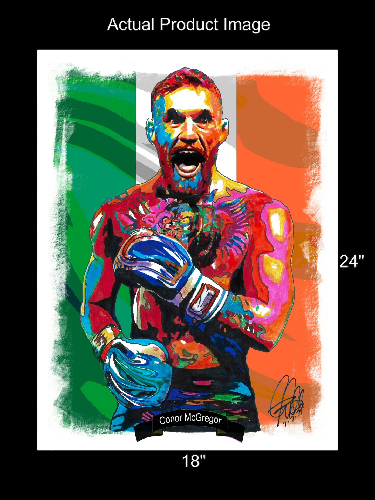 Conor McGregor Martial Arts Boxing Poster Print Wall Art 18x24