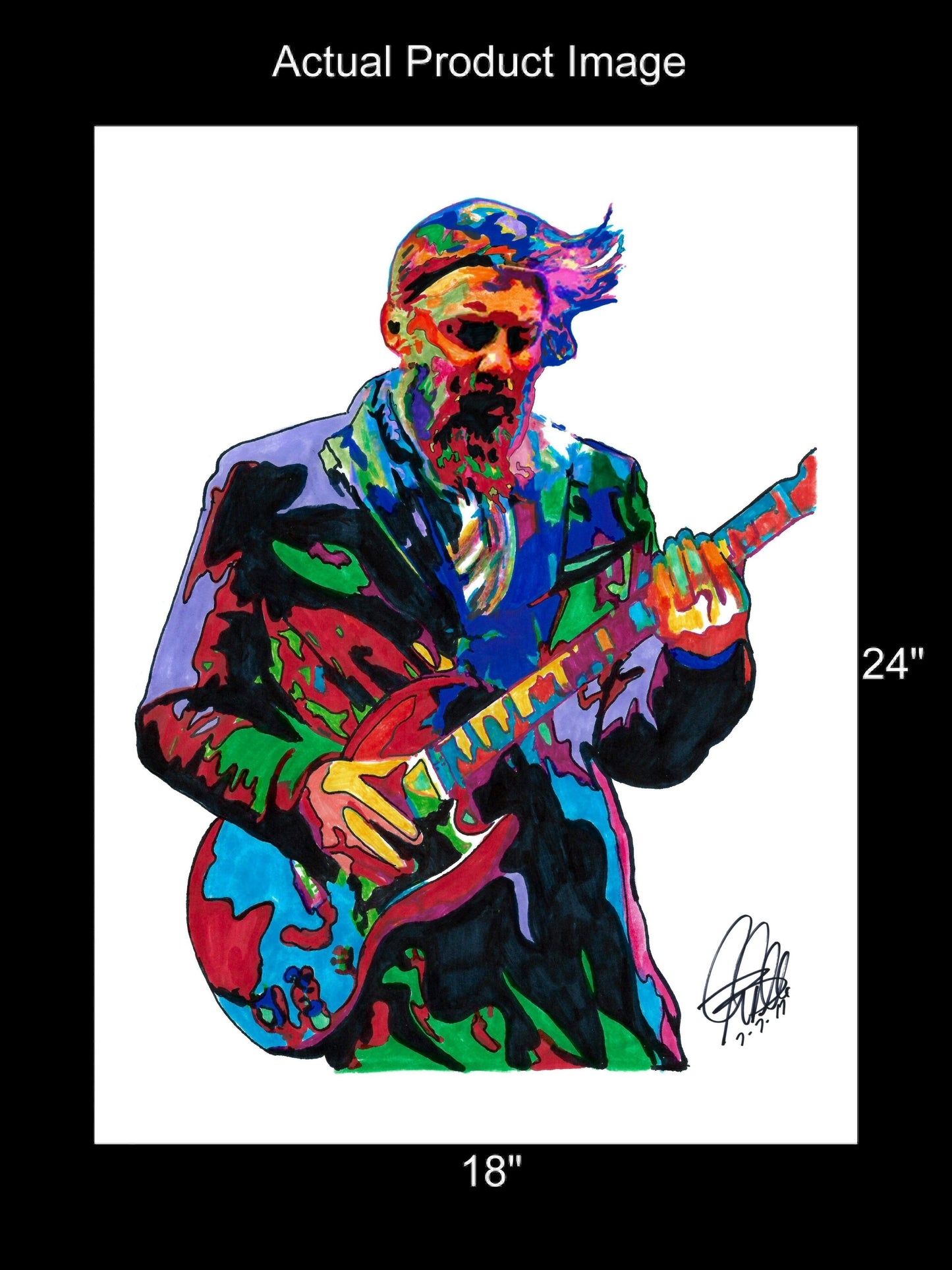 Derek Trucks Allman Brothers Guitar Rock Music Poster Print Wall Art 18x24