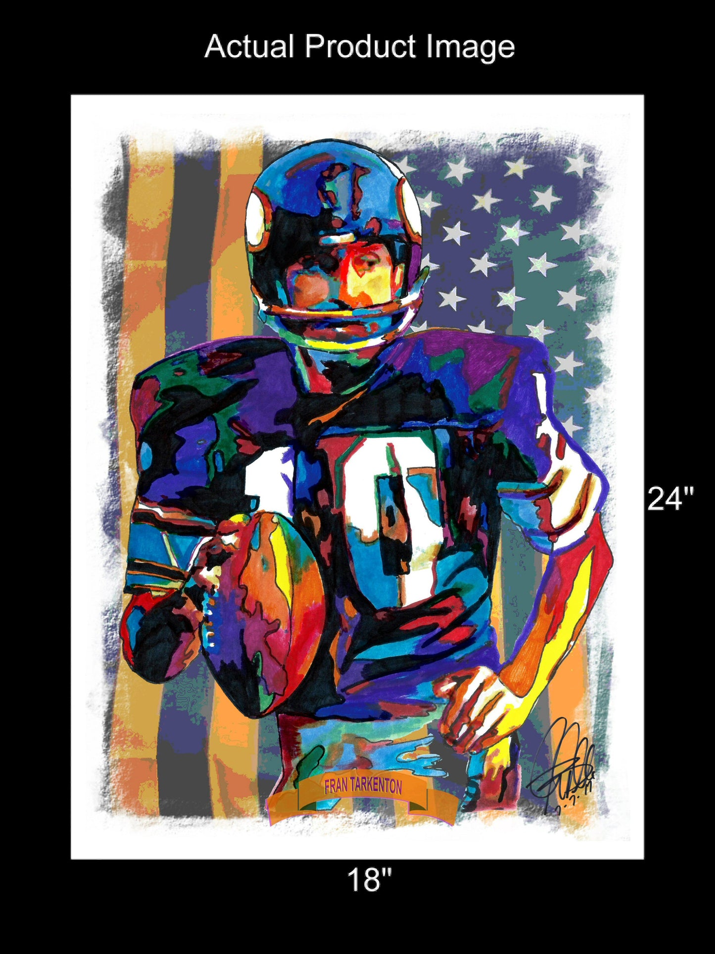 Fran Tarkenton Minnesota Vikings Football Sports Print Poster Wall Art 18x24