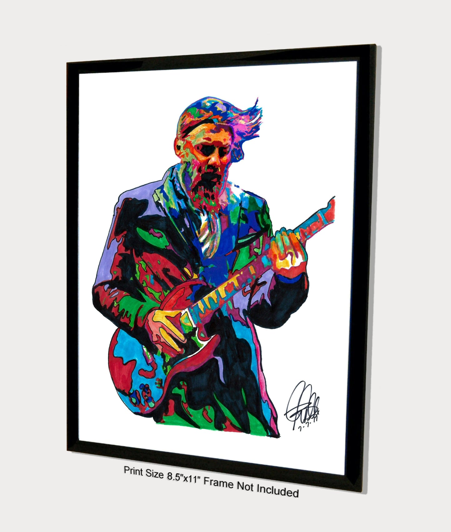 Derek Trucks Allman Brothers Guitar Rock Music Poster Print Wall Art 8.5x11